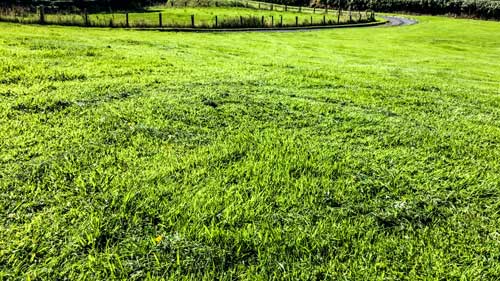 Husqvarna Automower Review Part 7 – I Messed Up