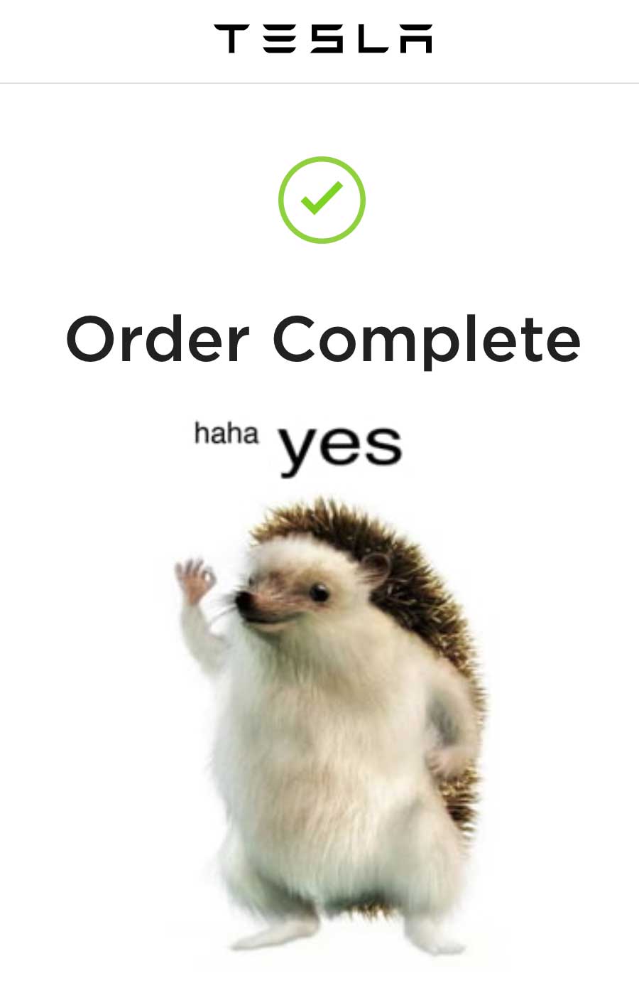 Order Complete - the Tesla Hedgehog