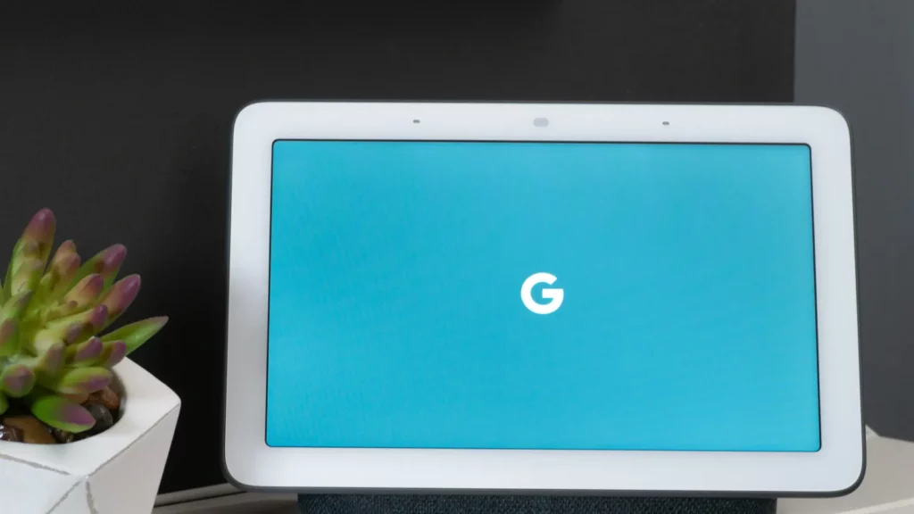 Google Nest Hub placed with a plant.