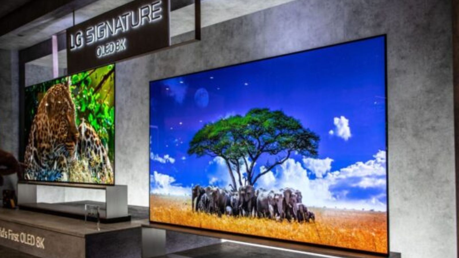 LG C5 vs C6 OLED TV showdown reveals whether the upgrade is worth it in 2026