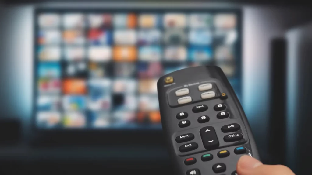 Hand holding a TV remote.