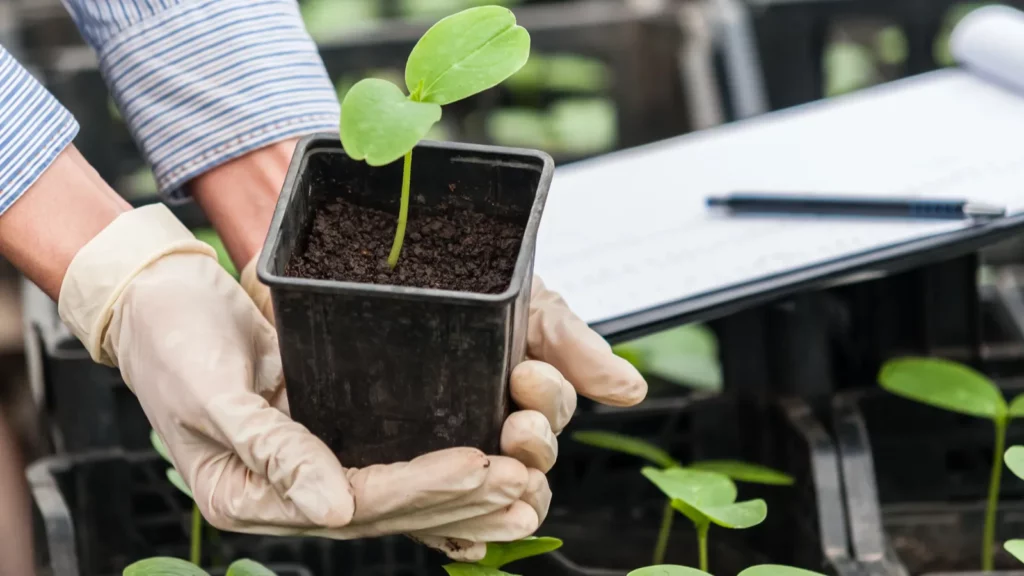 Biotechnologijų inžinierius nagrinėja iškarpine ir rašikliu